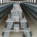 Industrial Steel Chicken Cage Henhouse for Laying Broiler Chick